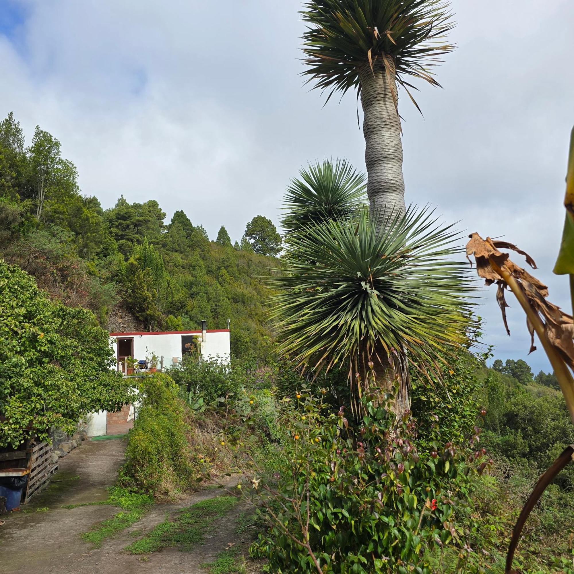 Freedom Villa El Tablado Екстериор снимка